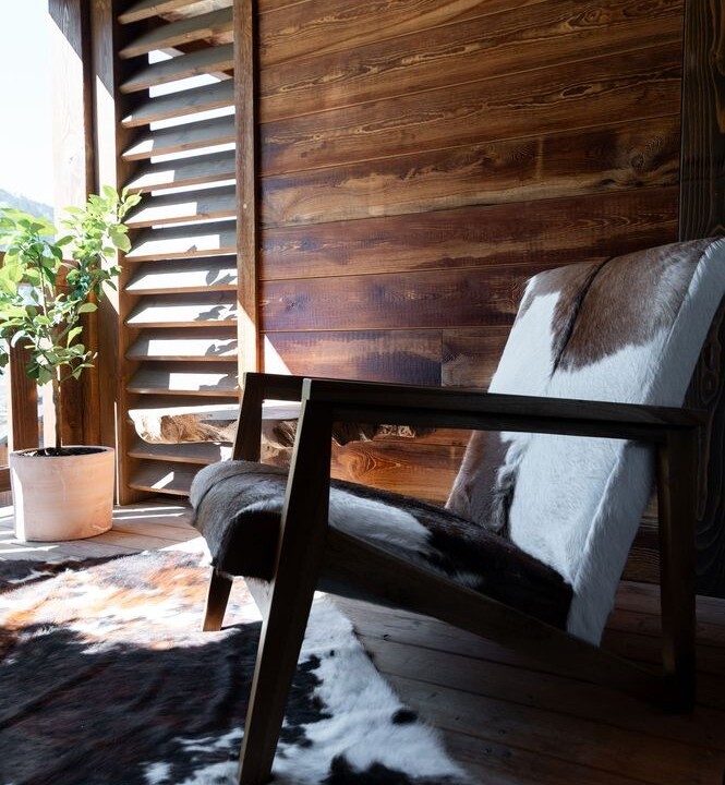 chalet_design_eden_home_megeve.jpg
