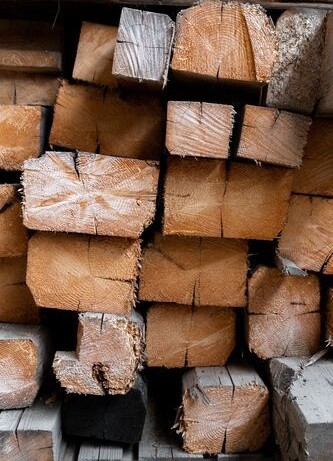 chalet_design_en_bois.jpg