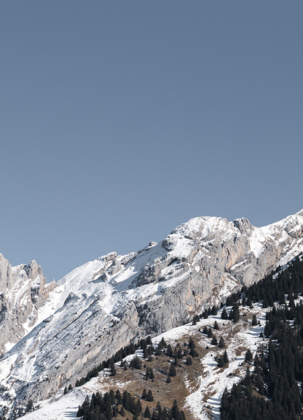 construction_chalet_bois_haute_savoie_annecy_eden_home_montagne07.jpg